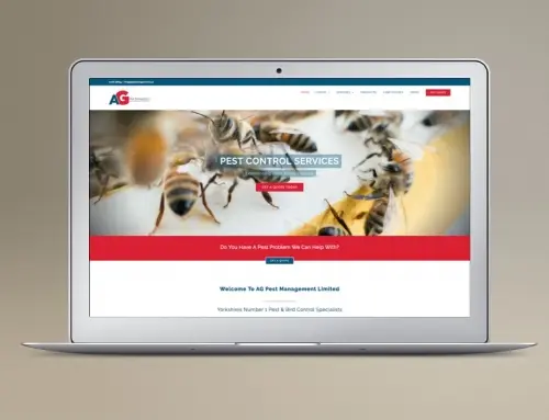 WordPress website development