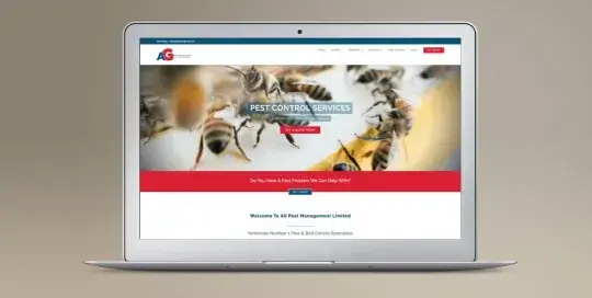 Wordpress website build