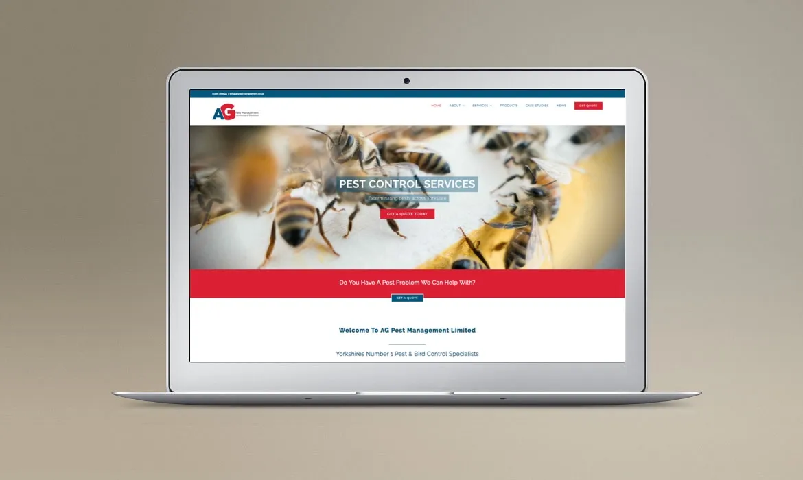 Wordpress website build